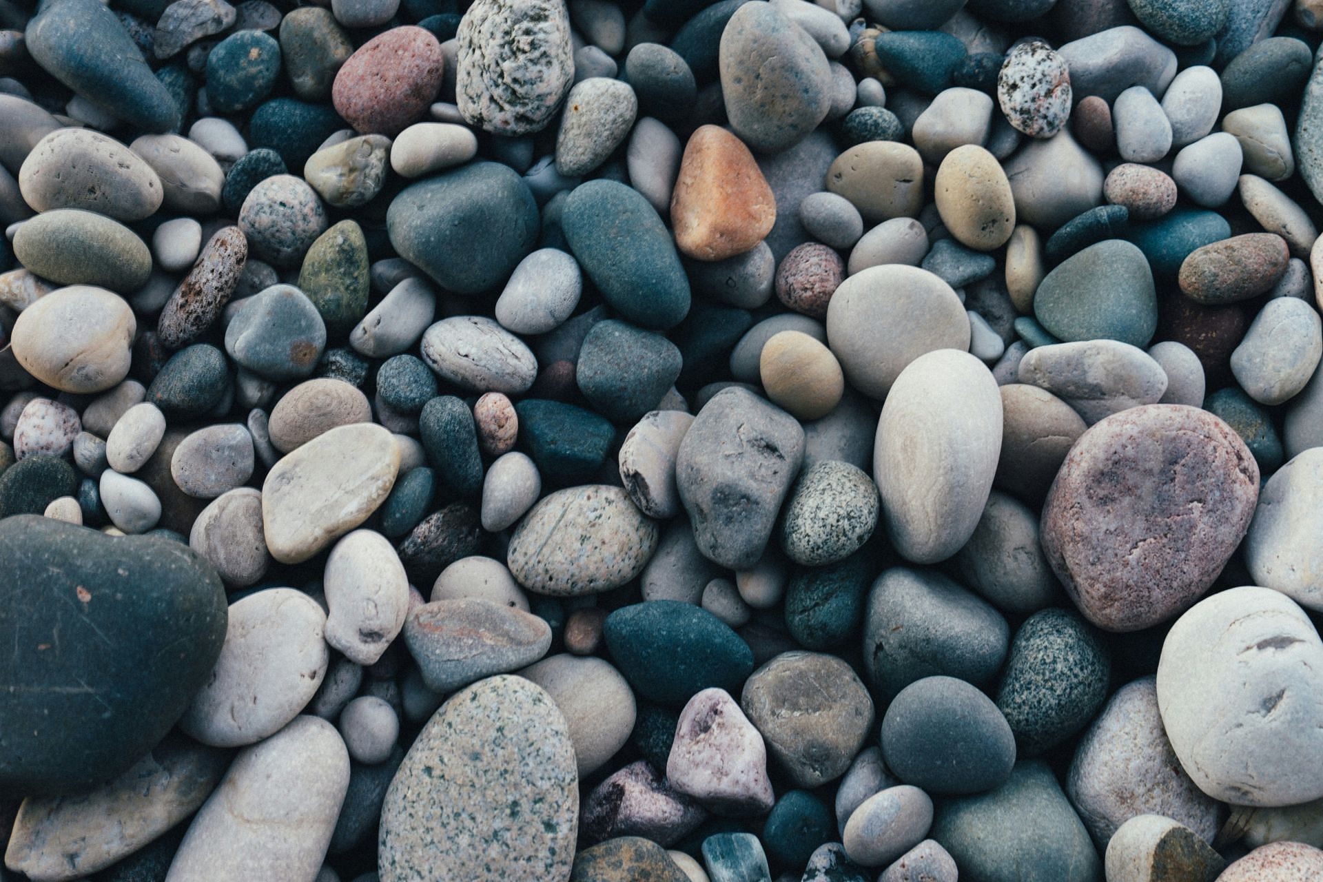 Gallbladder attack is because of gallstones. (image by Scott Webb/Unsplash)